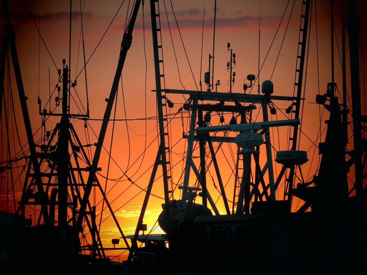 Fishing boats and their intricate rigging are silhouetted against an orange sunset.